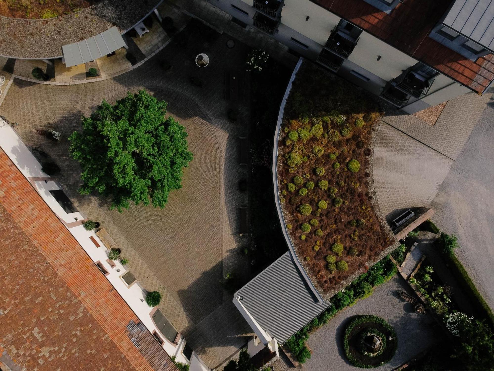 Zeiskamer Muehle Luaran gambar